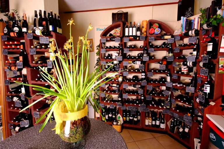 10865966 344999285624583 9138803150299398242 o 1 768x512