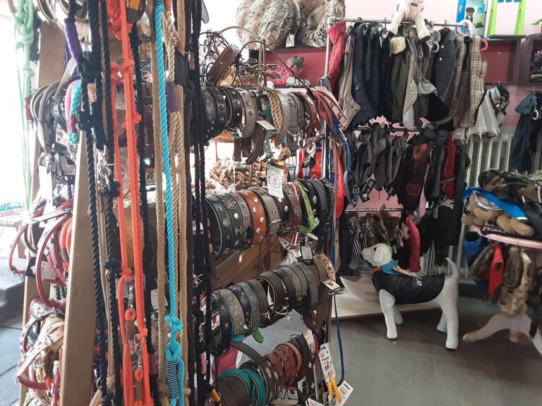 c905d49a 1744 40b7 918a 81a21ef41c02 768x576