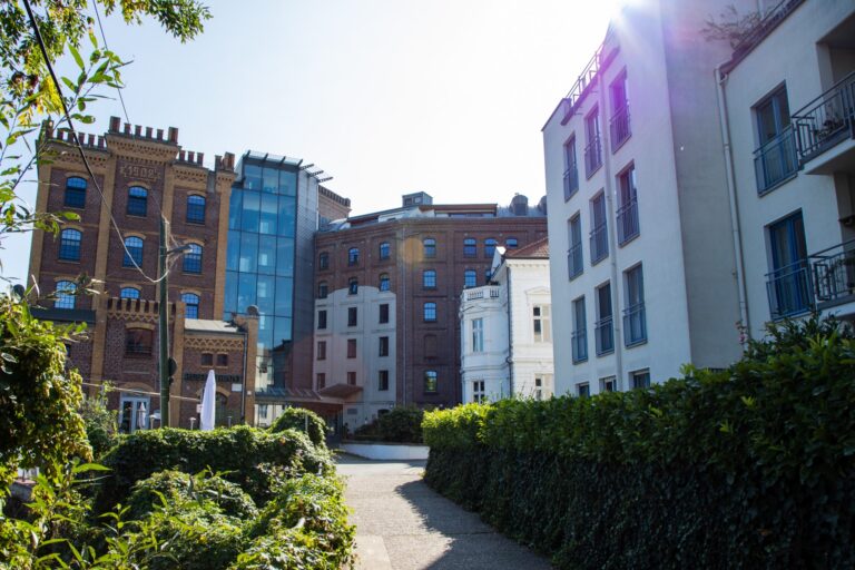 stb hans 018 768x512