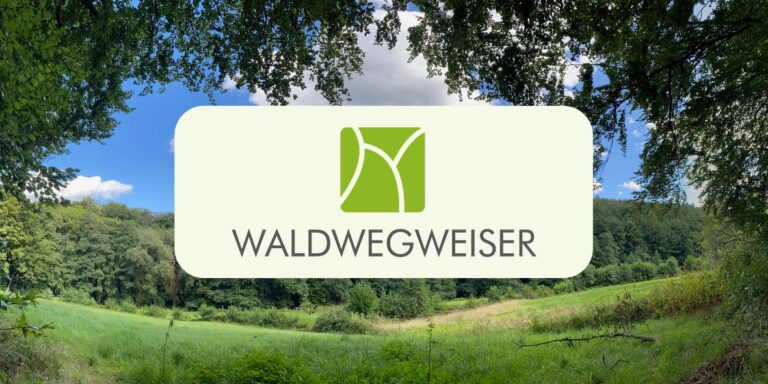 Design ohne Titel 5 768x384